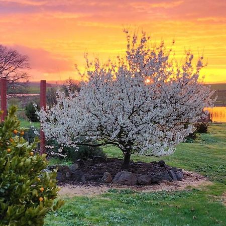 New Horizons Farm Stay Smeaton Eksteriør bilde